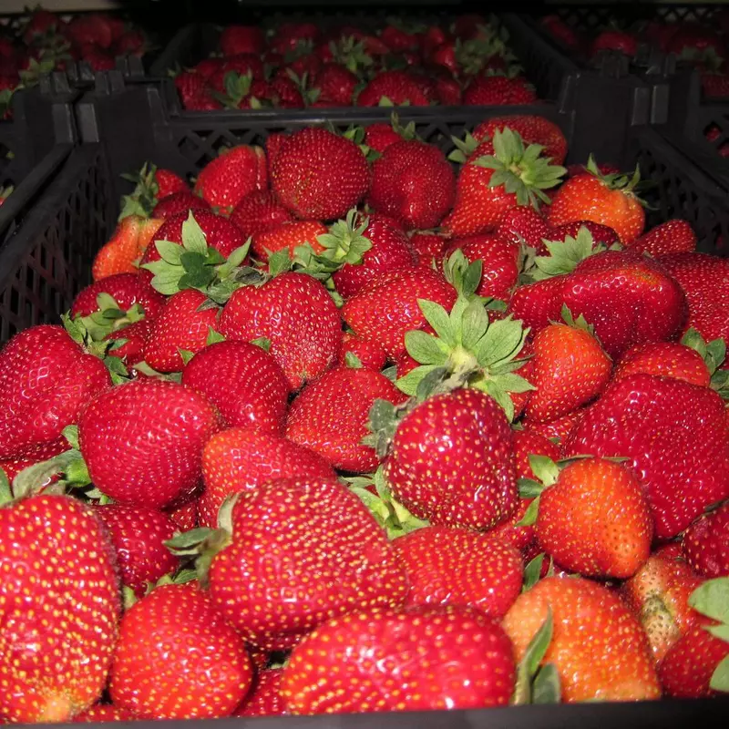 Rynek krajowy i eksport